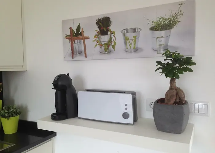 Casa vacanze Bem Vindo Cela Velha